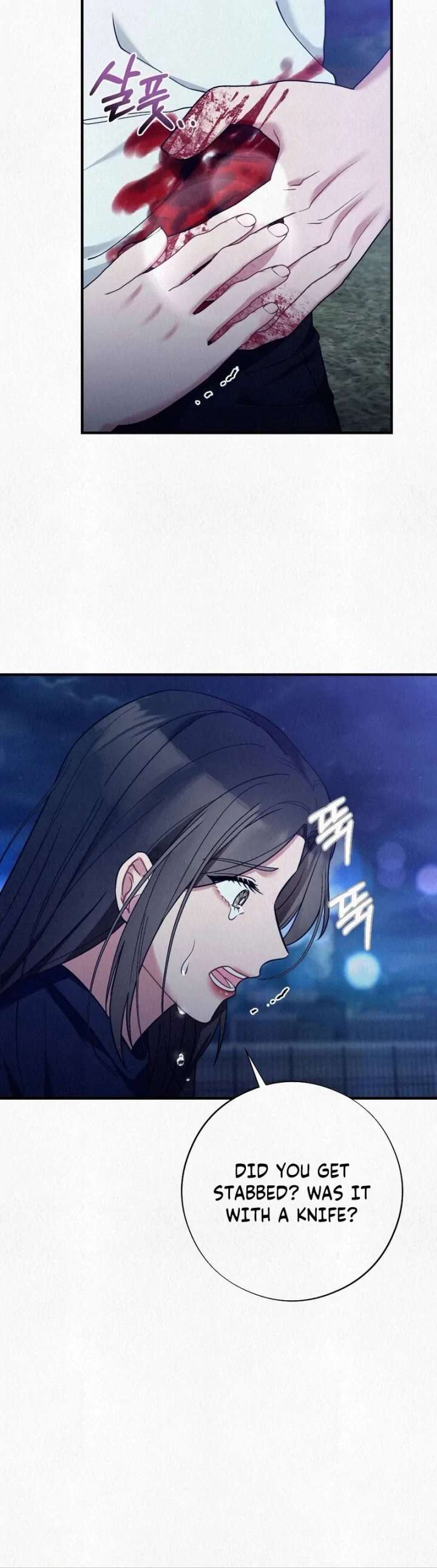 A Guest Beneath the Monsoon Skies Chapter 10 - Page 13