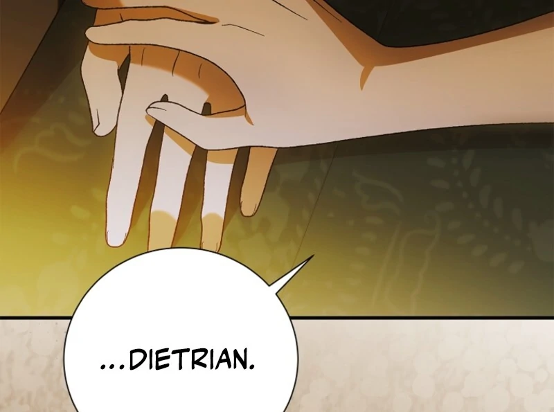 A Way to Protect the Lovable You - Chapter 157 - 33