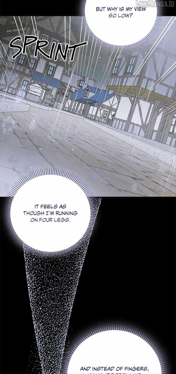 A Way to Protect the Lovable You - Chapter 159 - 71