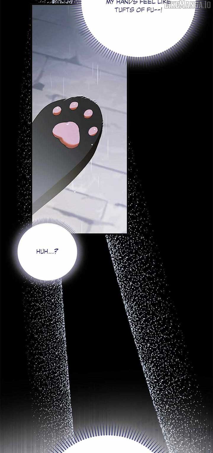 A Way to Protect the Lovable You - Chapter 159 - 72