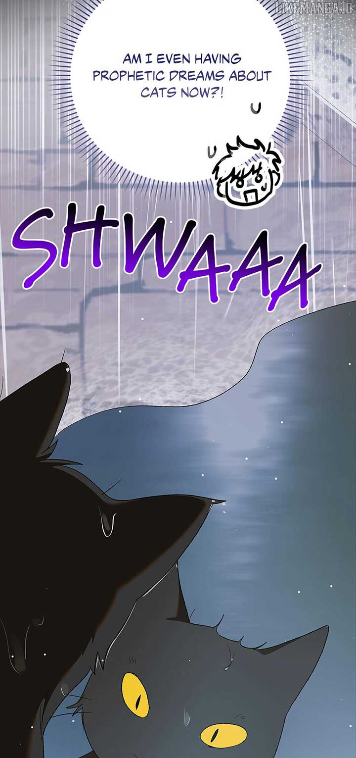 A Way to Protect the Lovable You - Chapter 159 - 73