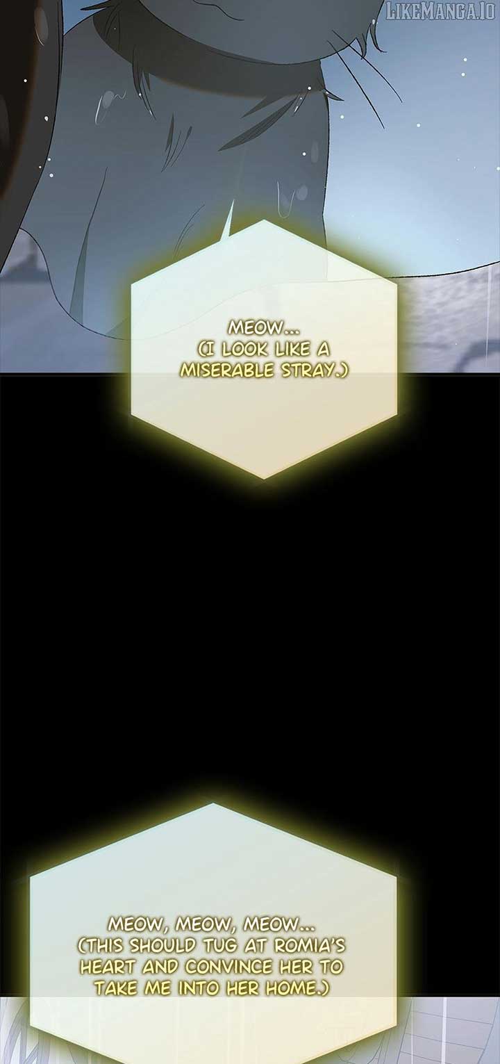 A Way to Protect the Lovable You - Chapter 159 - 74