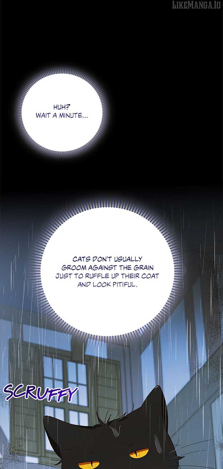 A Way to Protect the Lovable You - Chapter 159 - 76