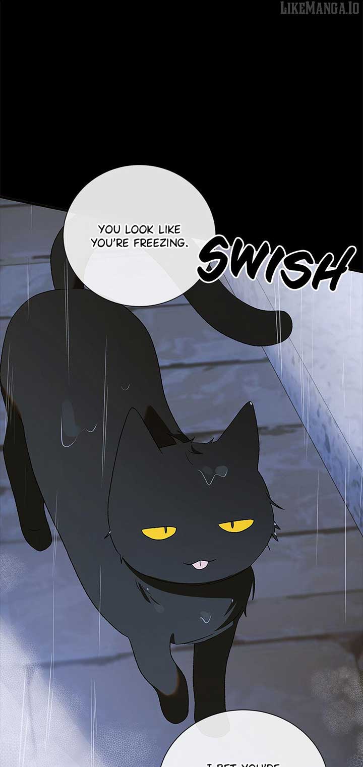 A Way to Protect the Lovable You - Chapter 159 - 84