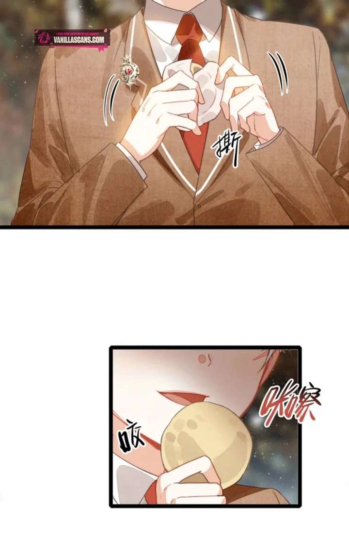 After Becoming a Dumpling, the Villain Family All Wants to Kill Me! Chapter 33 - Page 12