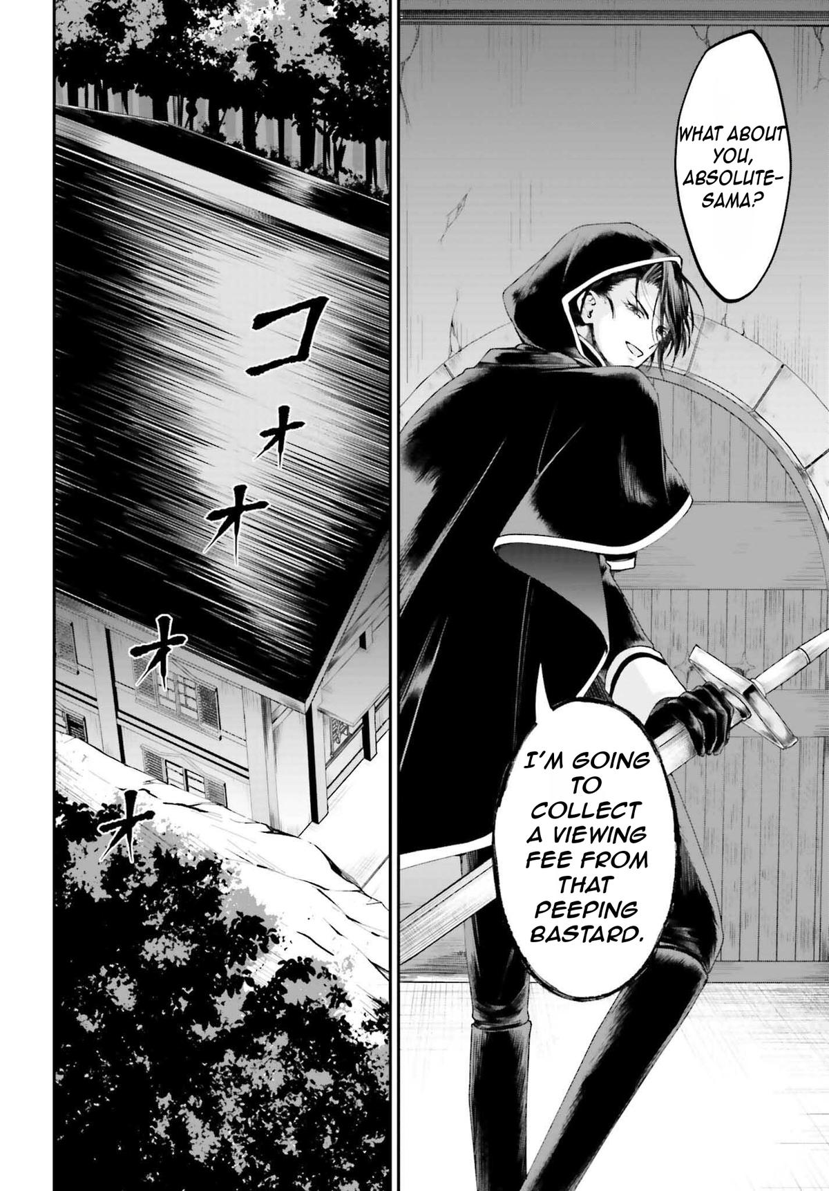 Akuyaku Kizoku to shite Hitsuyou na Sore Chapter 17 - Page 13