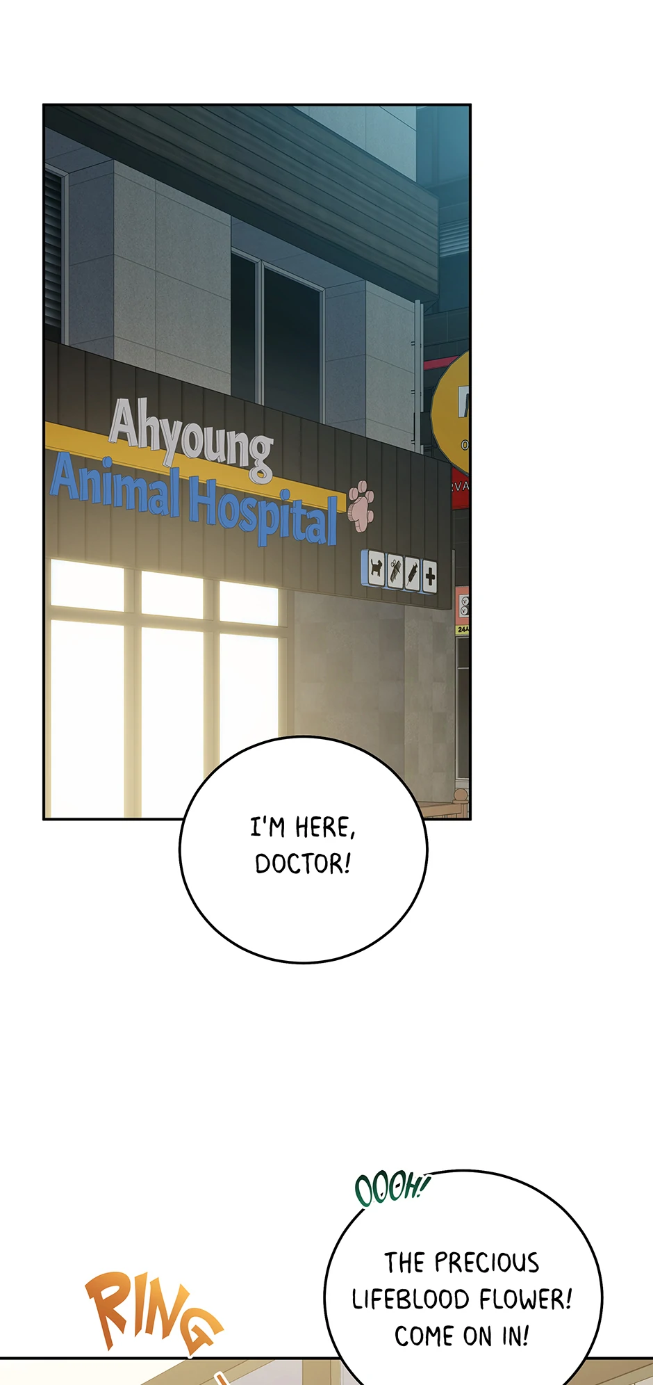 An Animal Hospital In The Border Area Chapter 148 - Page 41