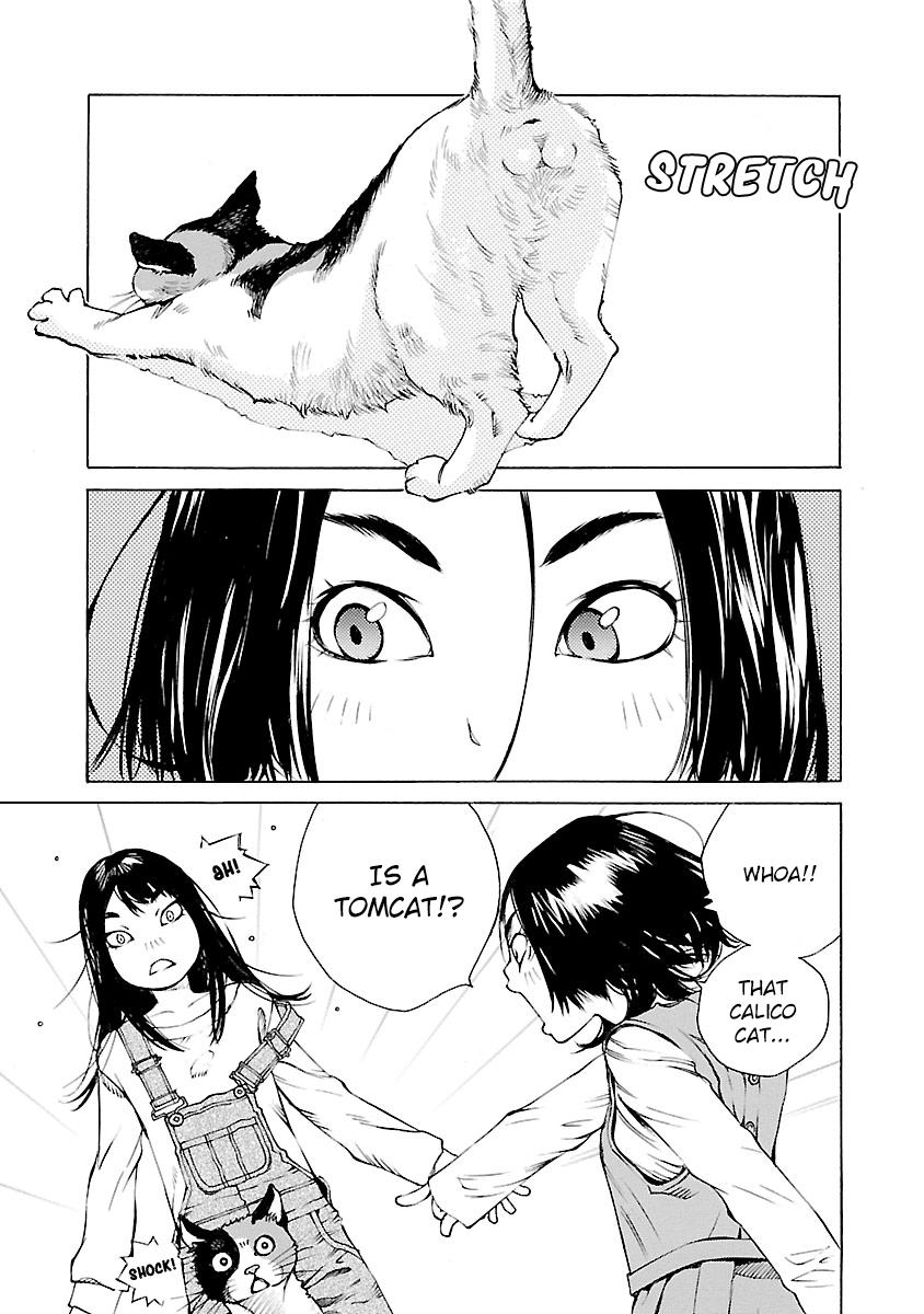 Ao no Shima to Neko Ippiki Chapter 13 - Page 6