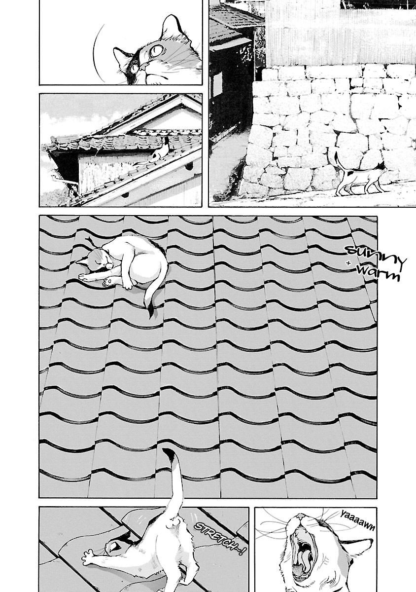 Ao no Shima to Neko Ippiki Chapter 14.5 - Page 7