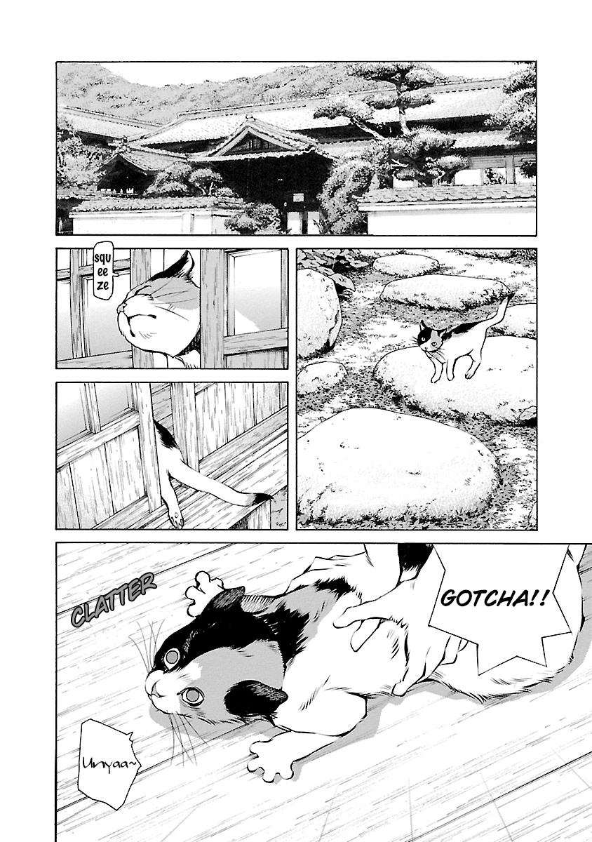 Ao no Shima to Neko Ippiki Chapter 14.5 - Page 11