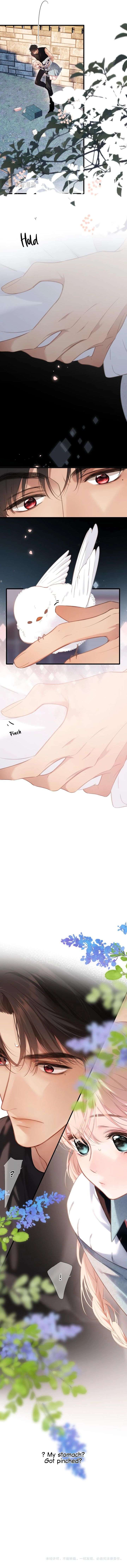 Back to Spring Chapter 61 - Page 5