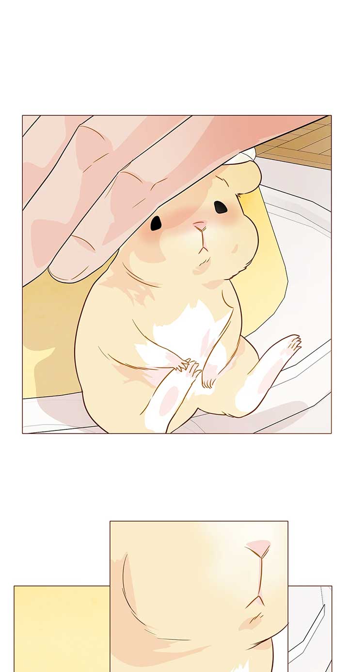 Bear with Me Chapter 38 - Page 29