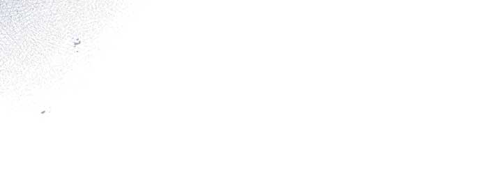 Becoming the Lady of the Cursed Ducal House Chapter 74 - Page 70