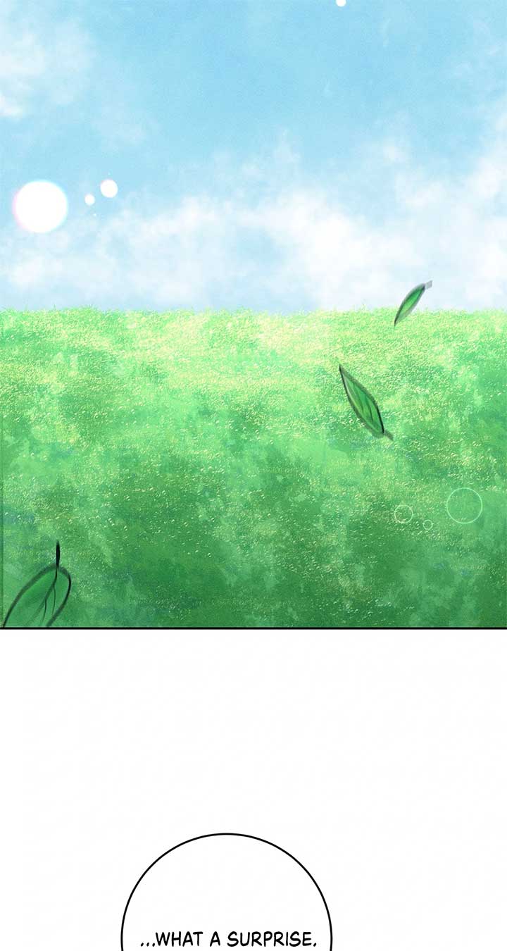 Becoming the Lady of the Cursed Ducal House Chapter 78 - Page 81