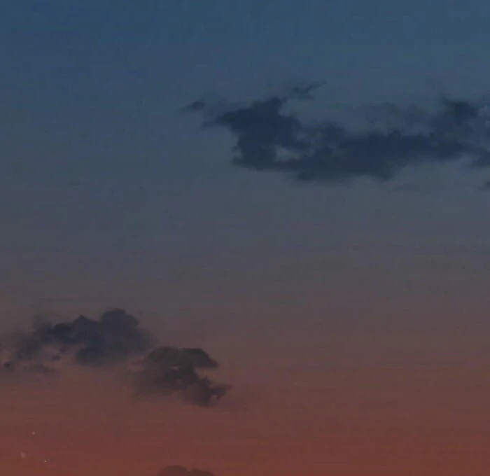 Bed Partner Chapter 31 - Page 39