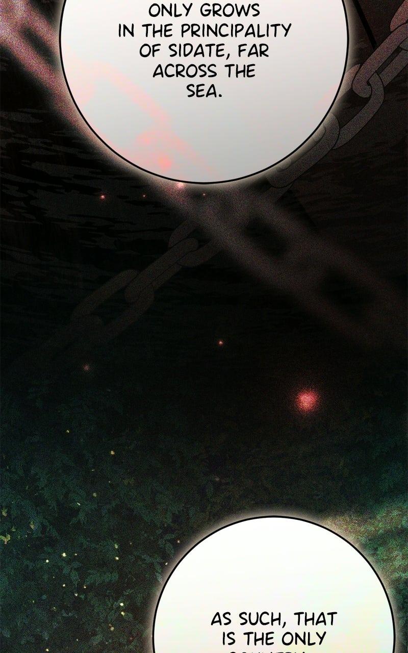 Behind Her Highness's Smile Chapter 80 - Page 67