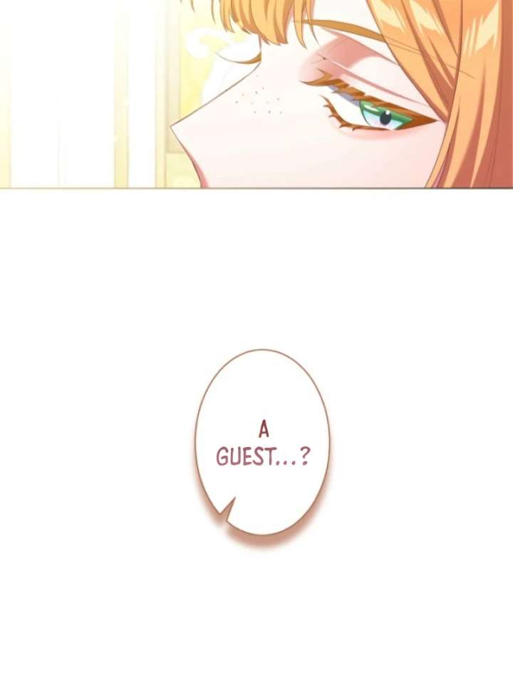 Behold The Perfect Villainess Chapter 9 - Page 5