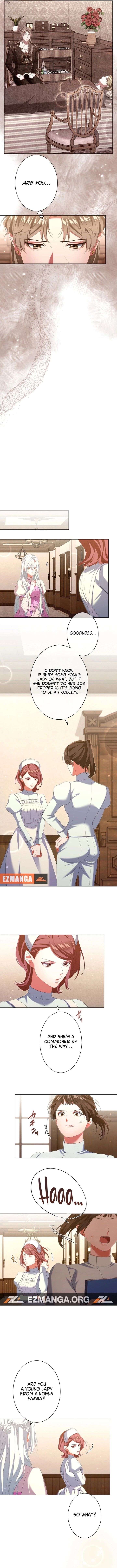 Behold The Perfect Villainess Chapter 31 - Page 4