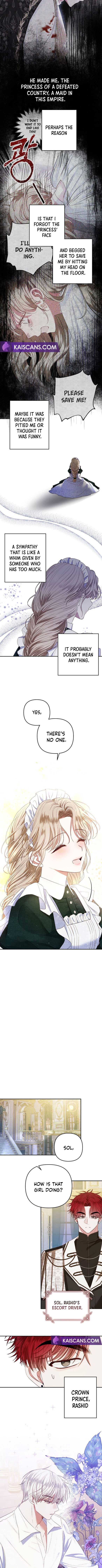 Being a Maid is Better than Being a Princess Chapter 2 - Page 7