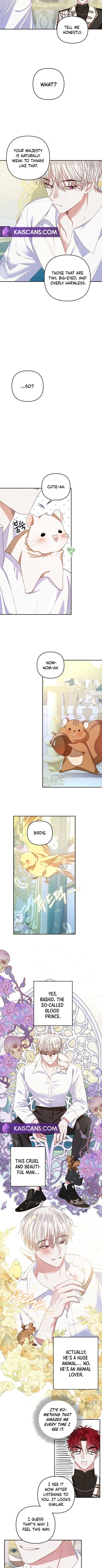 Being a Maid is Better than Being a Princess Chapter 2 - Page 9