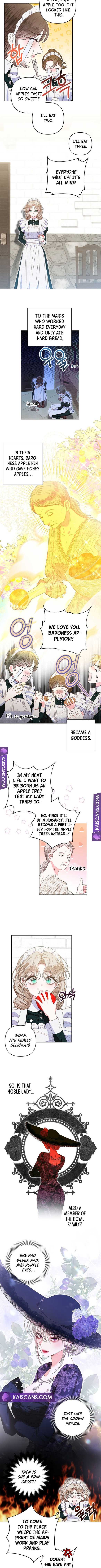 Being a Maid is Better than Being a Princess Chapter 9 - Page 7