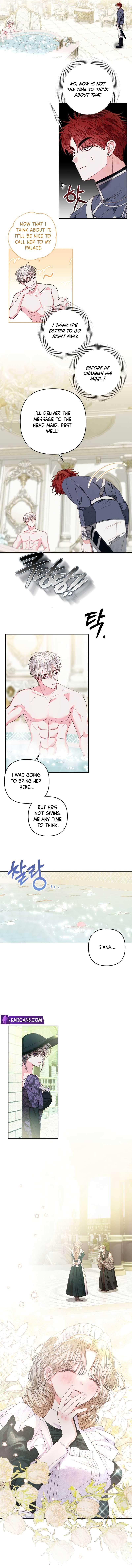 Being a Maid is Better than Being a Princess Chapter 11 - Page 9