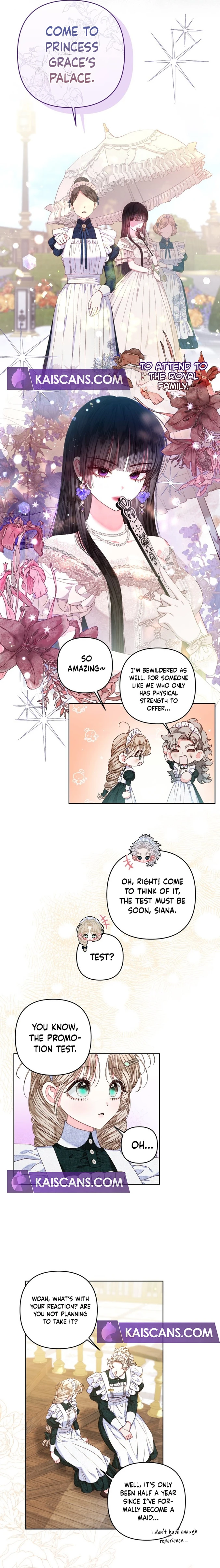 Being a Maid is Better than Being a Princess Chapter 25 - Page 8