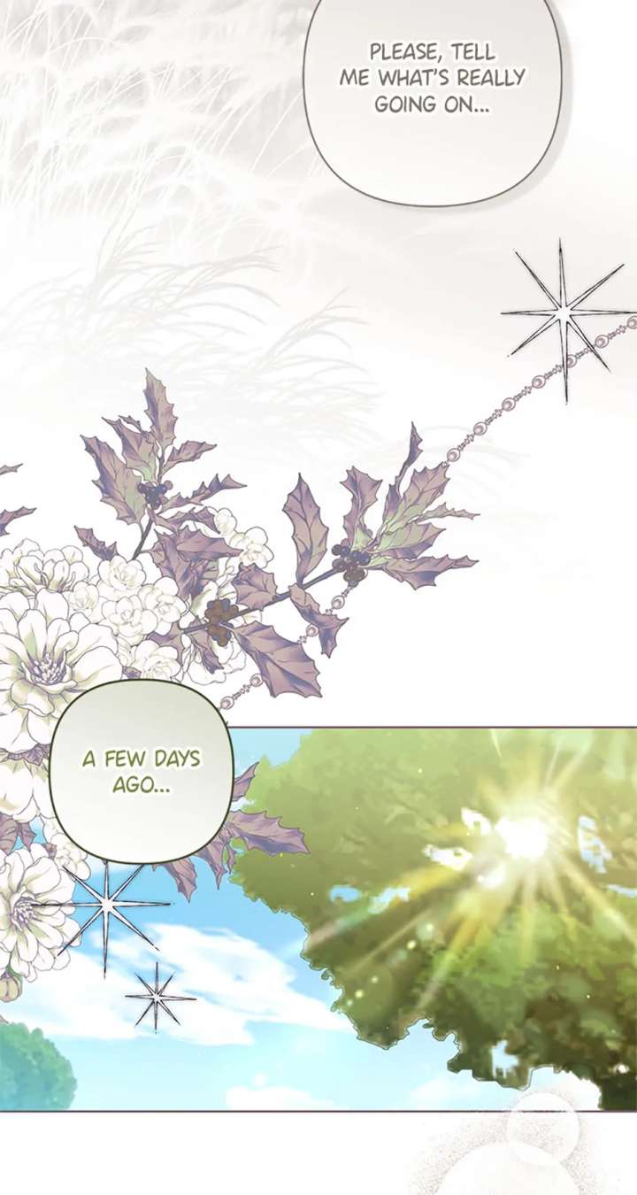 Being a Maid is Better than Being a Princess Chapter 60 - Page 13