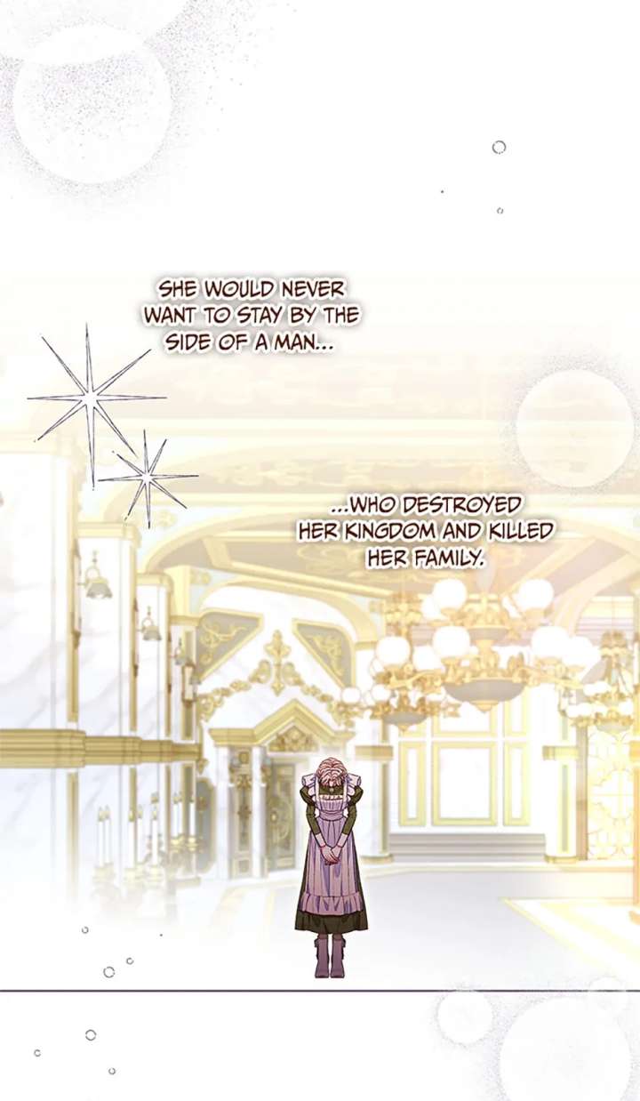 Being a Maid is Better than Being a Princess Chapter 60 - Page 28