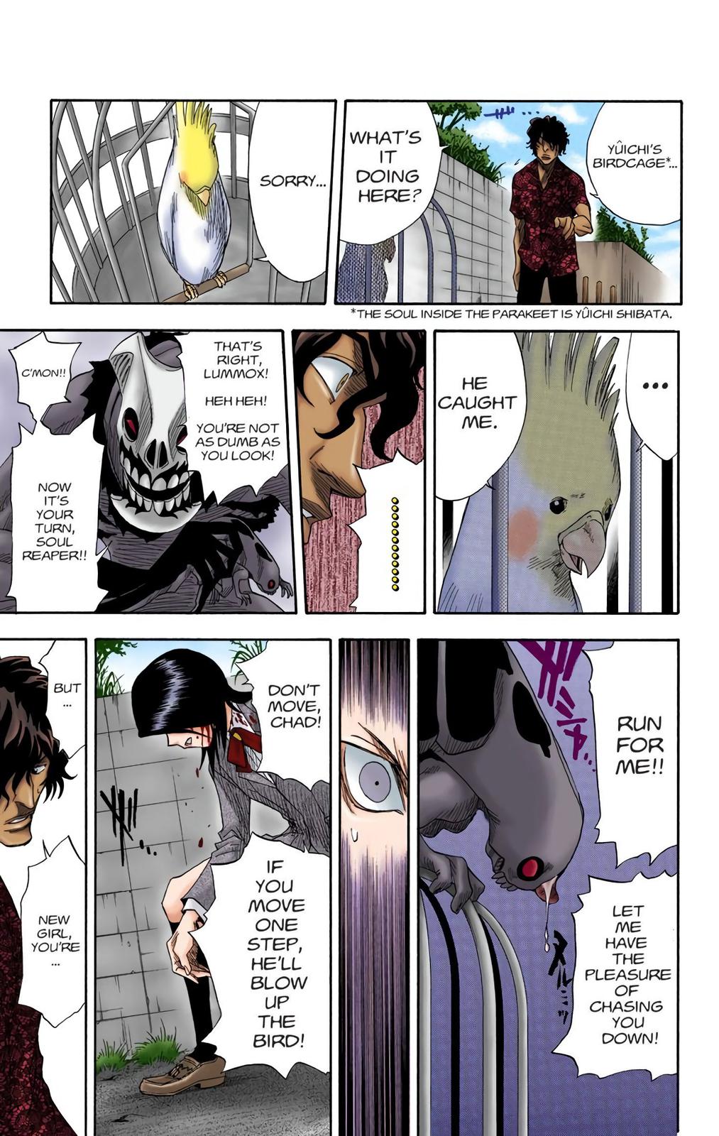 Bleach (Color) Chapter 10 - Page 13