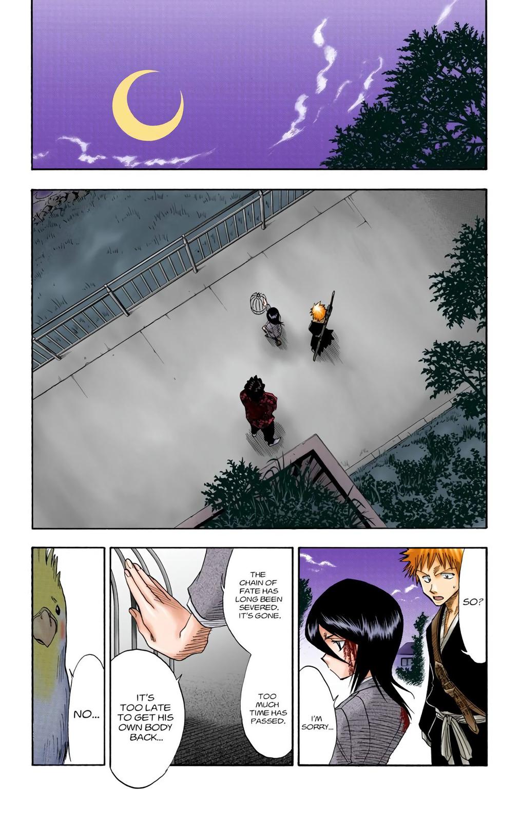 Bleach (Color) Chapter 12 - Page 13