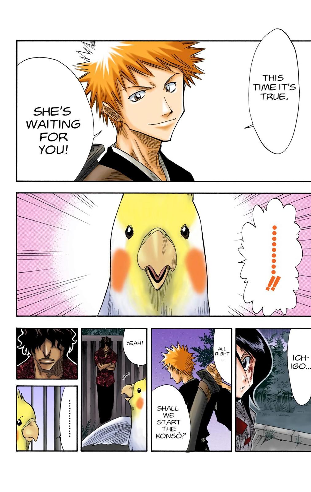 Bleach (Color) Chapter 12 - Page 15