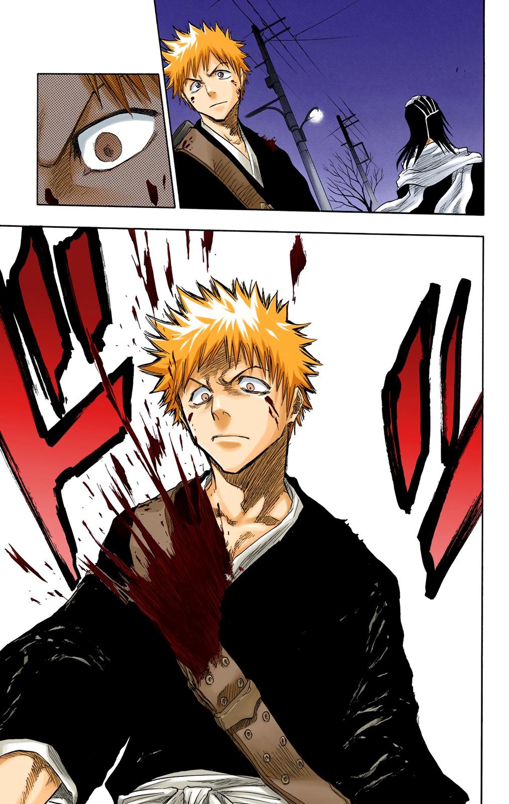 Bleach (Color) Chapter 55 - Page 19