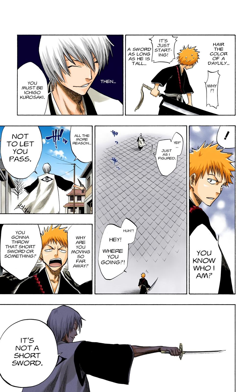 Bleach (Color) Chapter 75 - Page 13