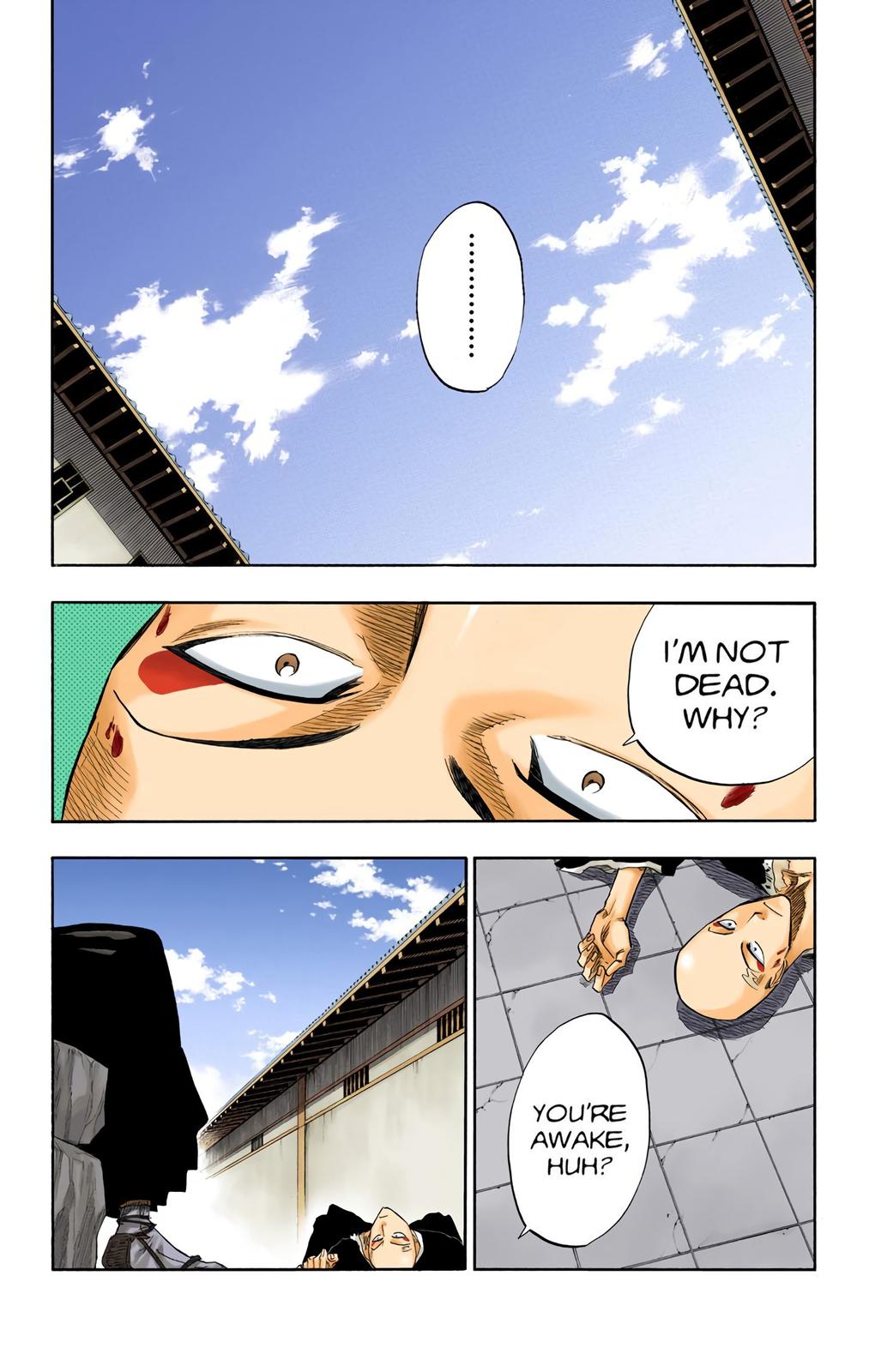Bleach (Color) Chapter 89 - Page 13