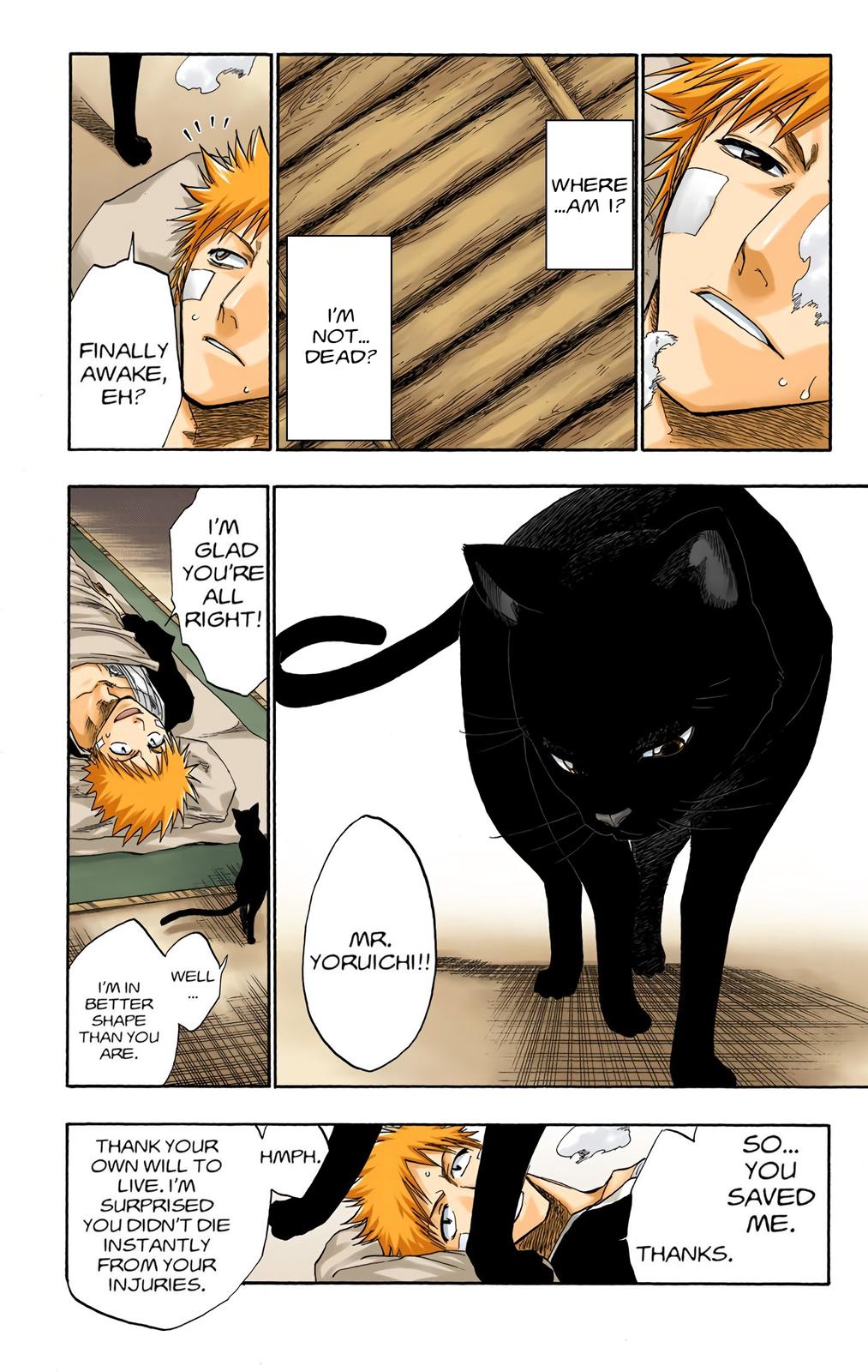 Bleach (Color) Chapter 116 - Page 21