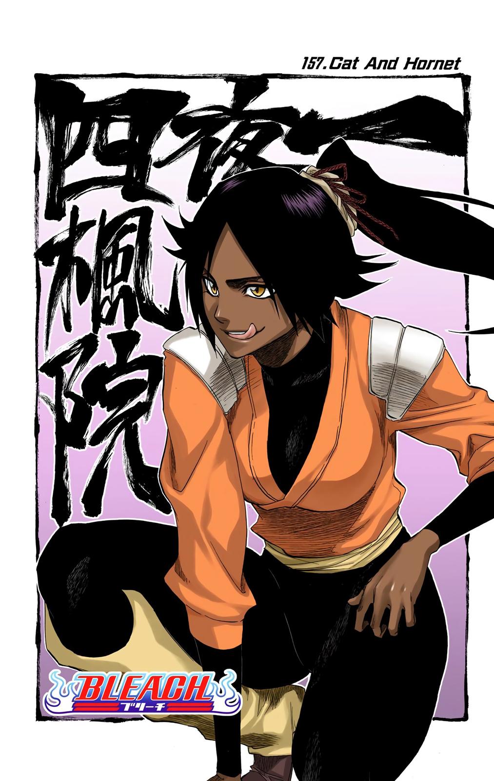 Bleach (Color) Chapter 157 - Page 6