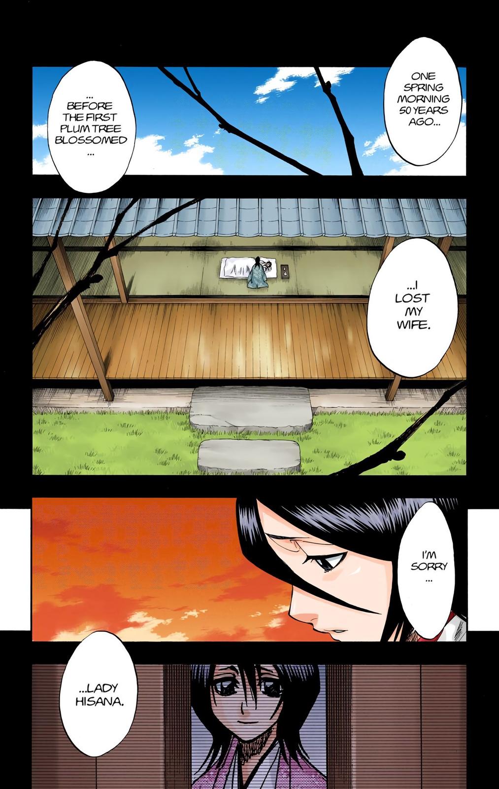 Bleach (Color) Chapter 179 - Page 16