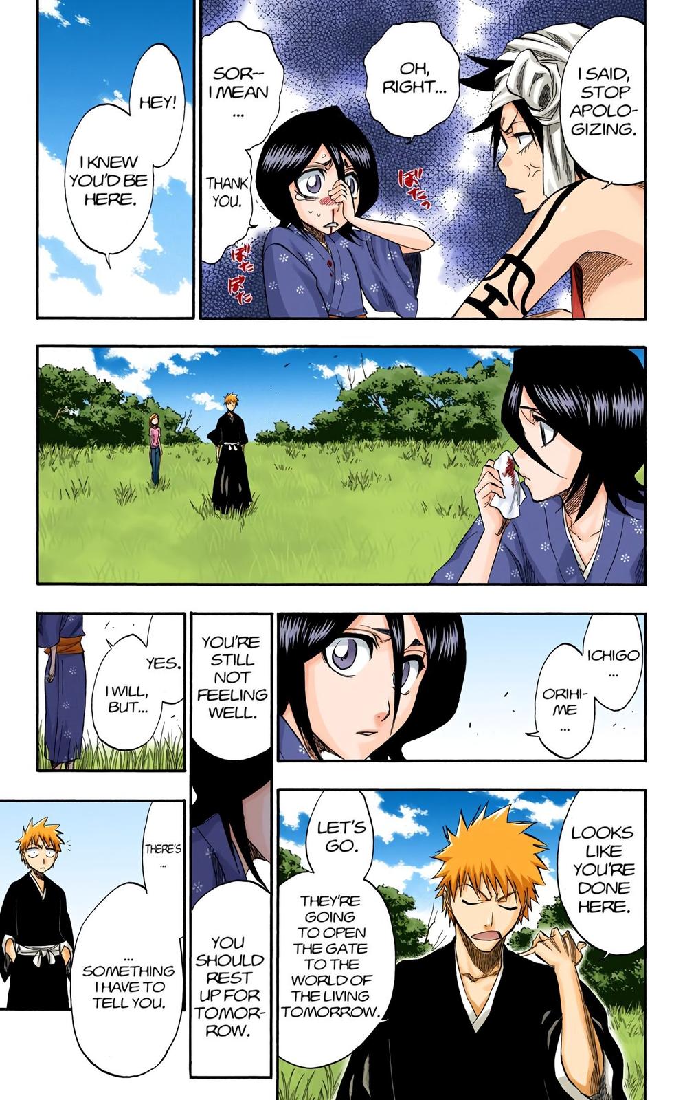 Bleach (Color) Chapter 181 - Page 13