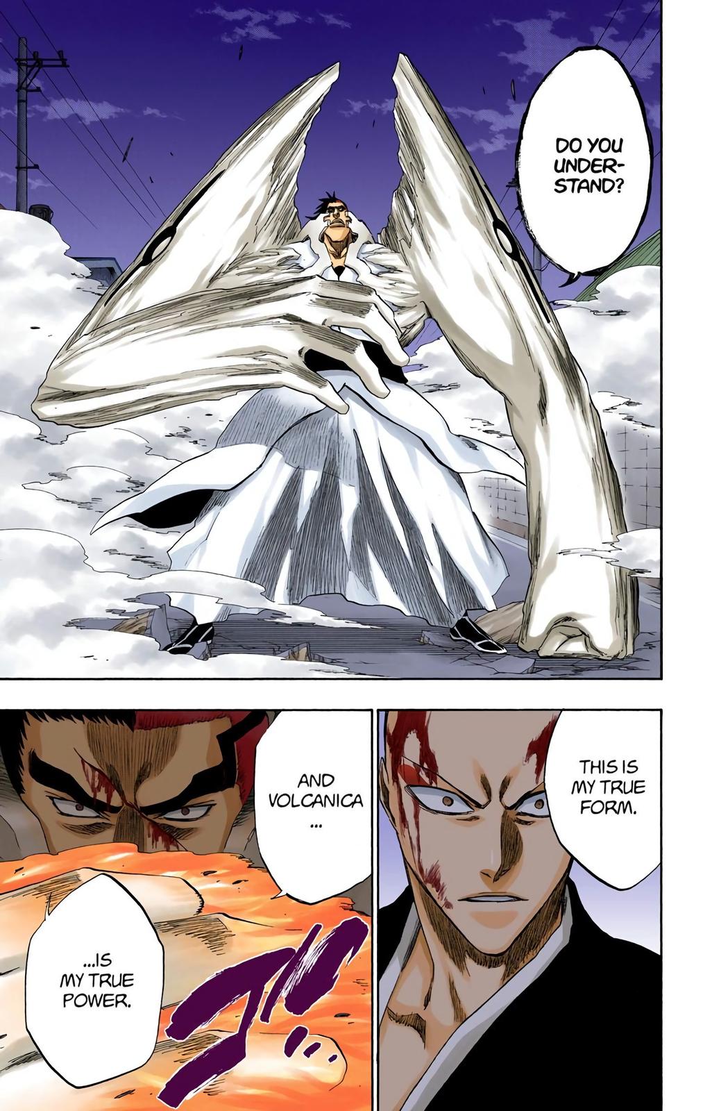 Bleach (Color) Chapter 204 - Page 10