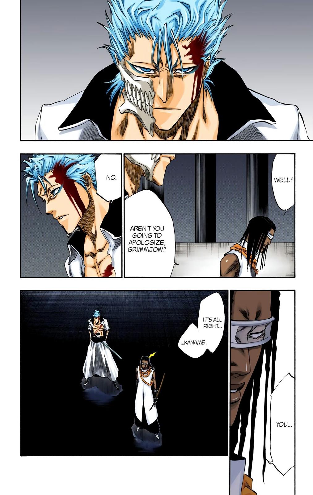Bleach (Color) Chapter 213 - Page 10
