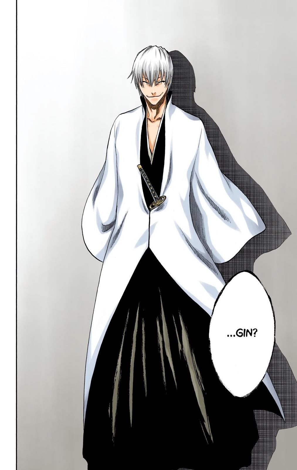 Bleach (Color) Chapter 213 - Page 18