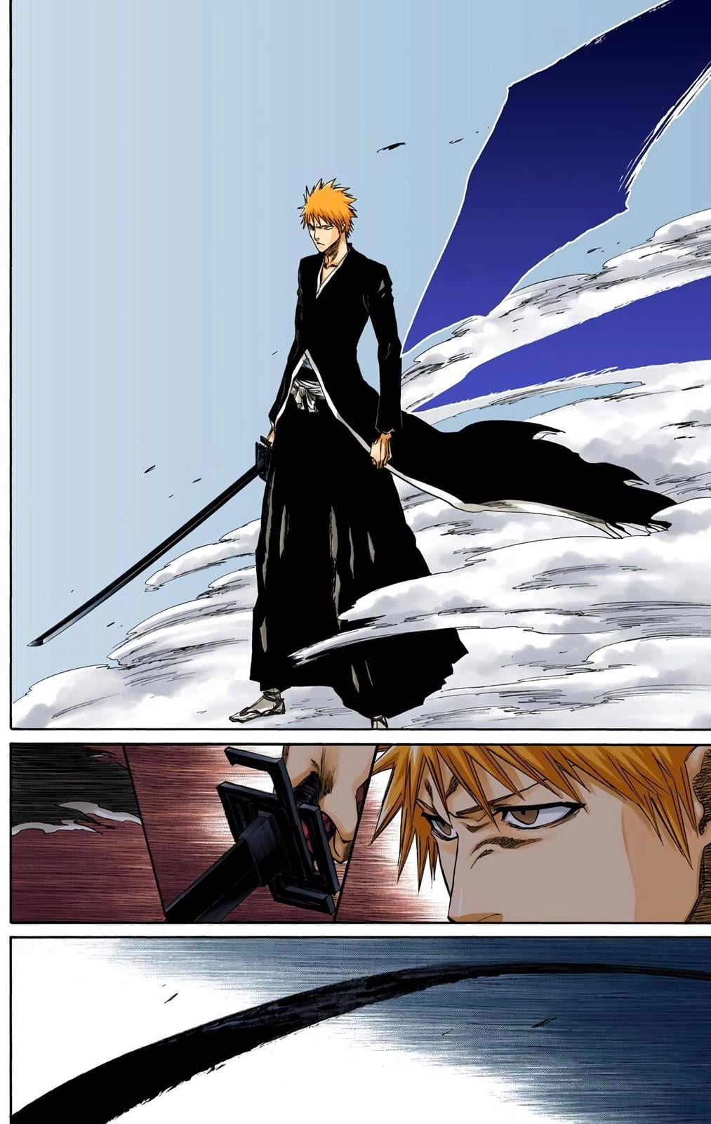 Bleach (Color) Chapter 219 - Page 5