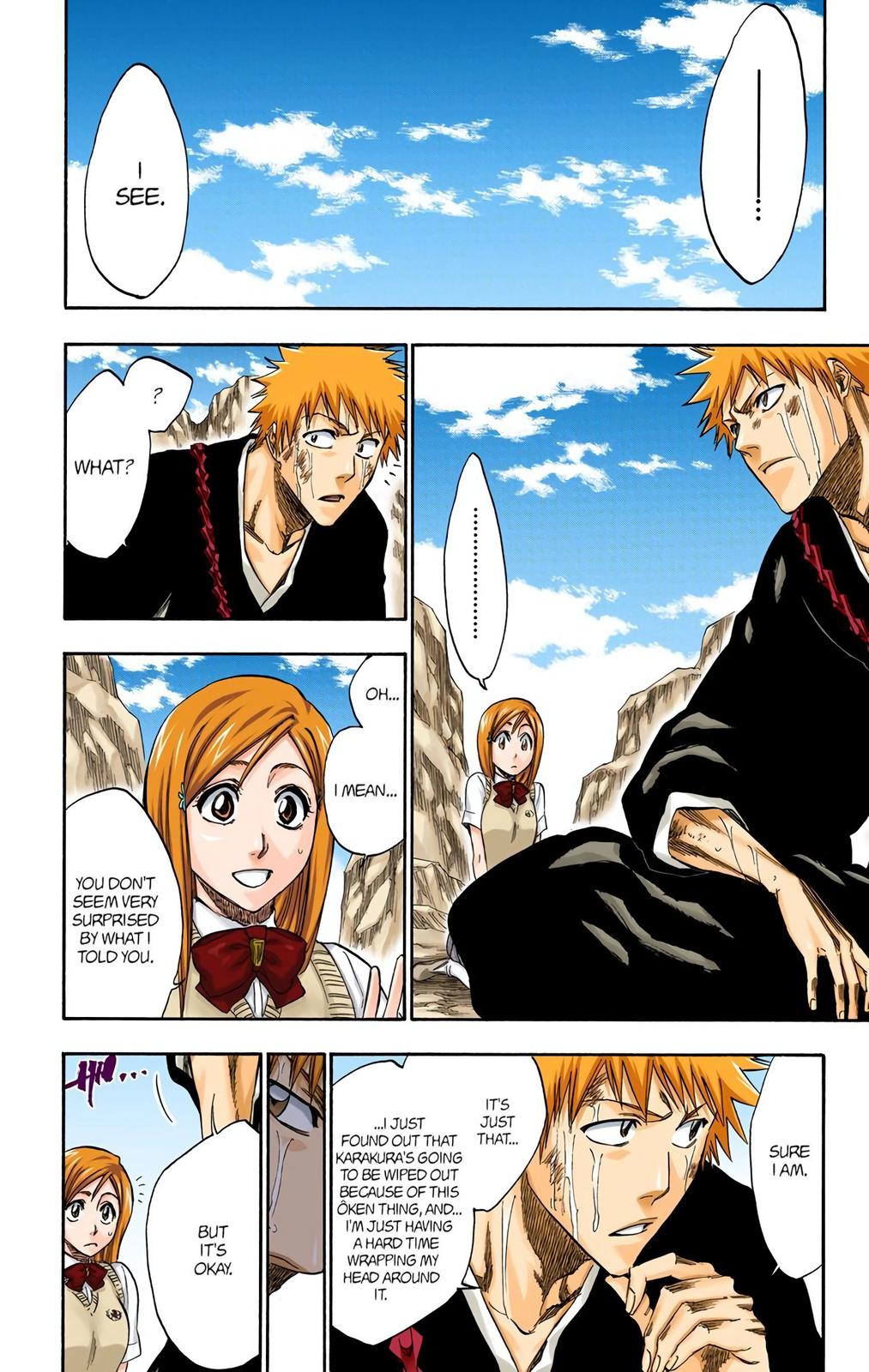 Bleach (Color) Chapter 225 - Page 14