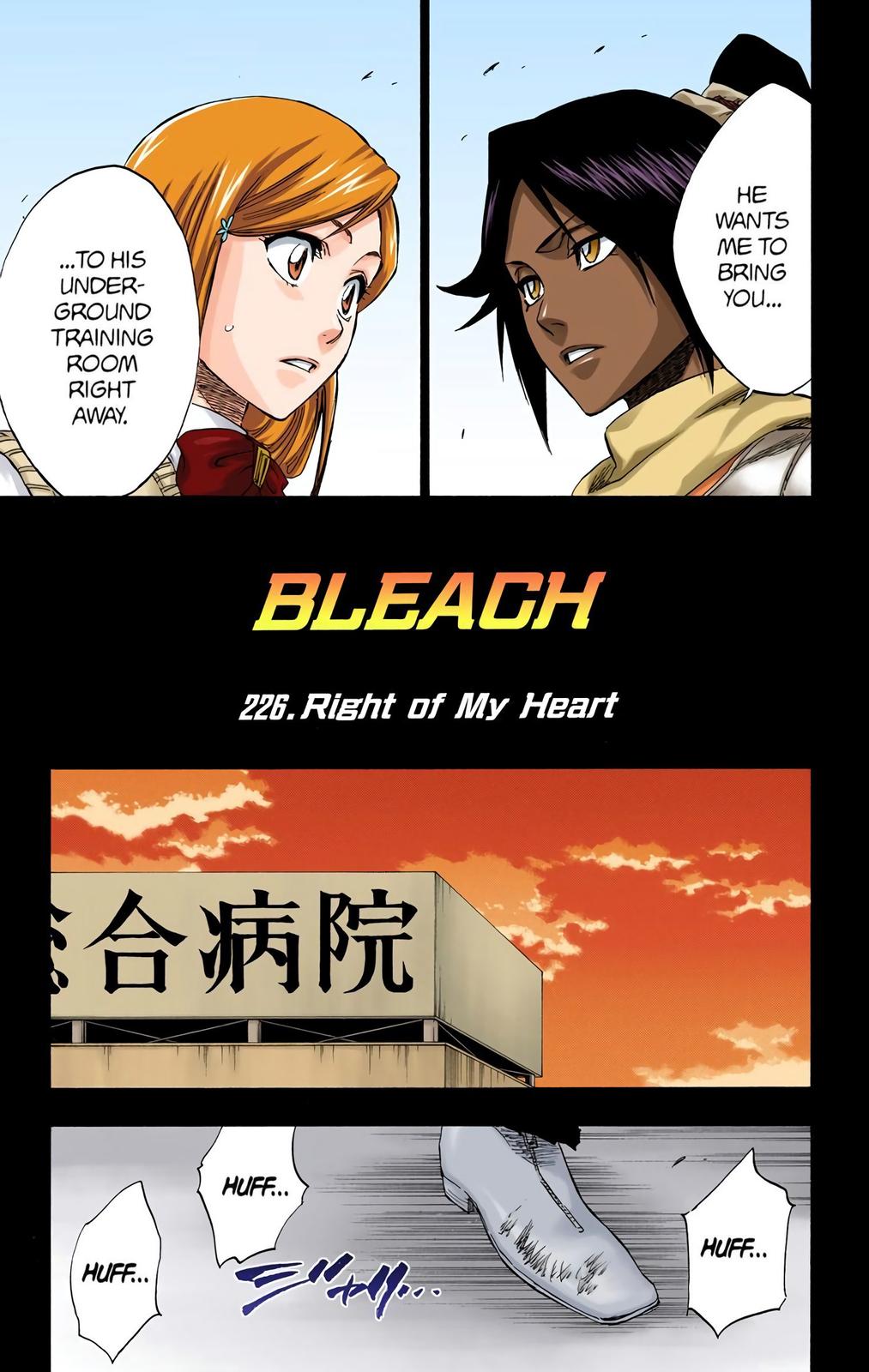 Bleach (Color) Chapter 226 - Page 5