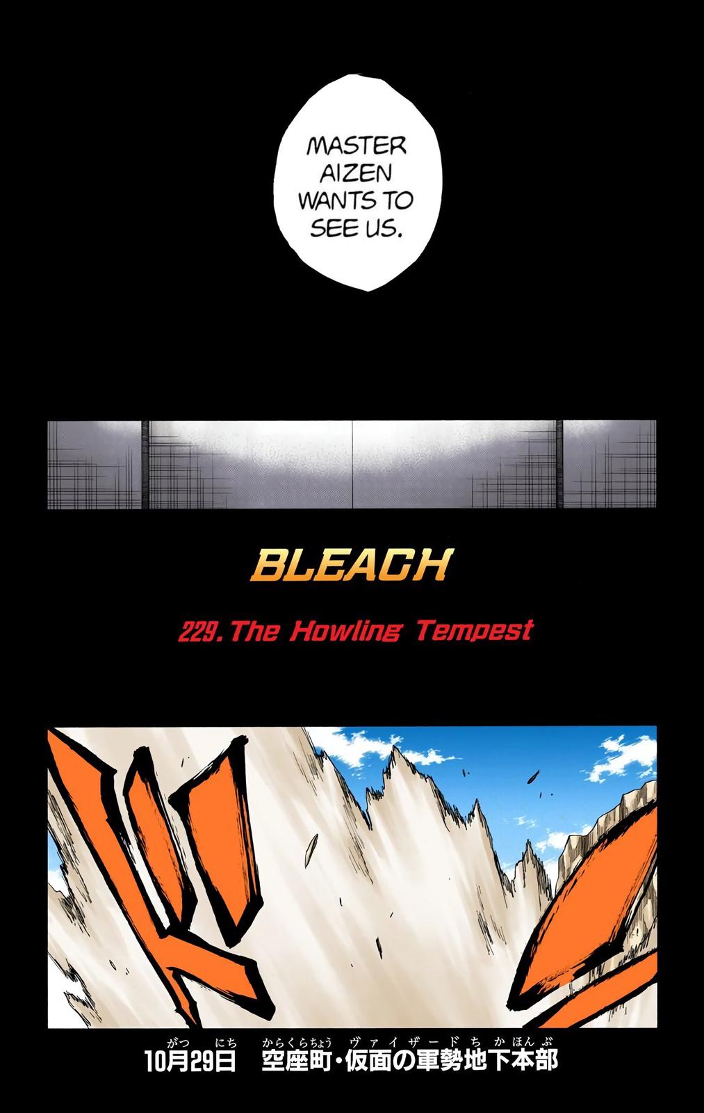 Bleach (Color) Chapter 229 - Page 6