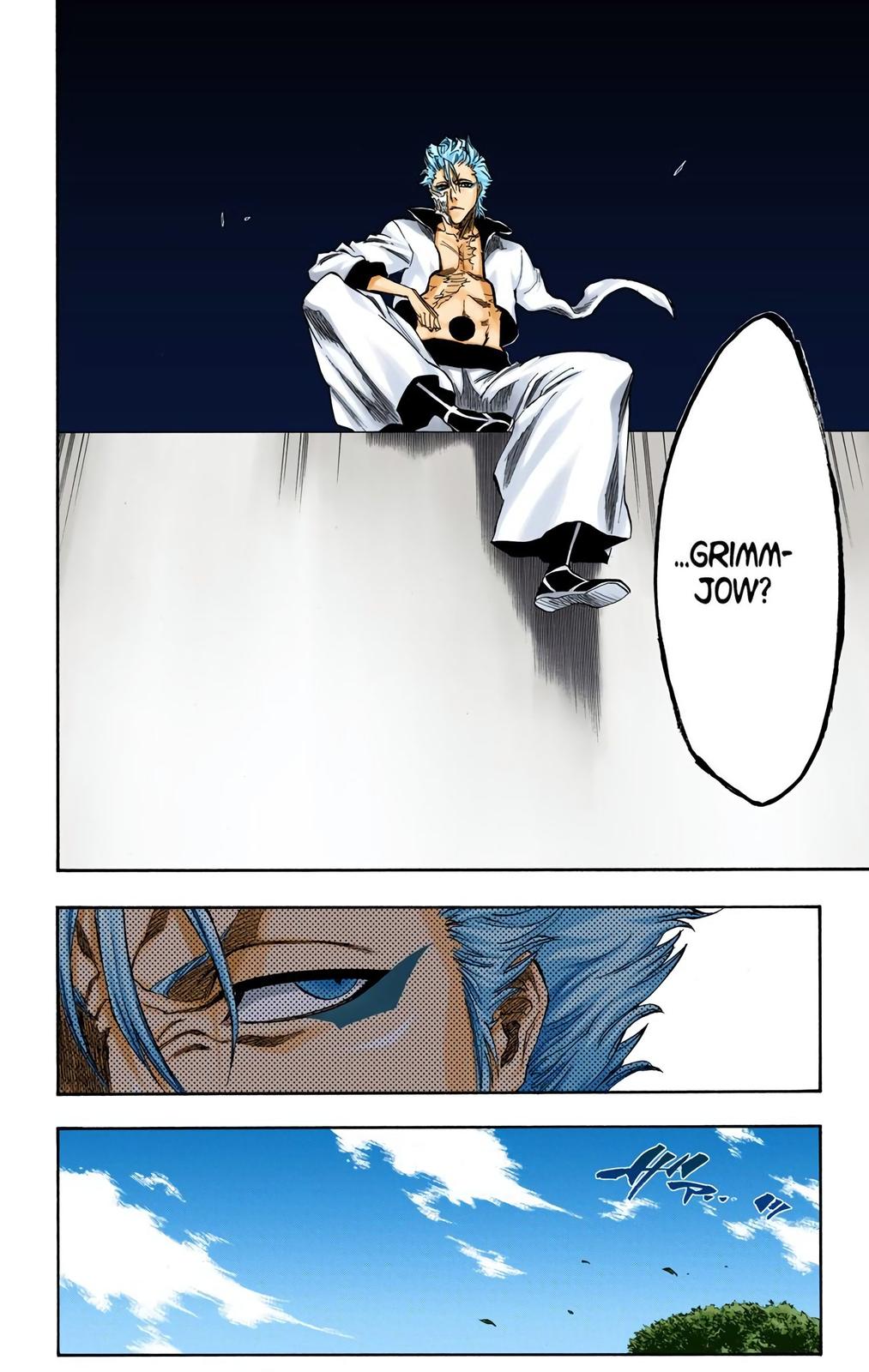 Bleach (Color) Chapter 229 - Page 17