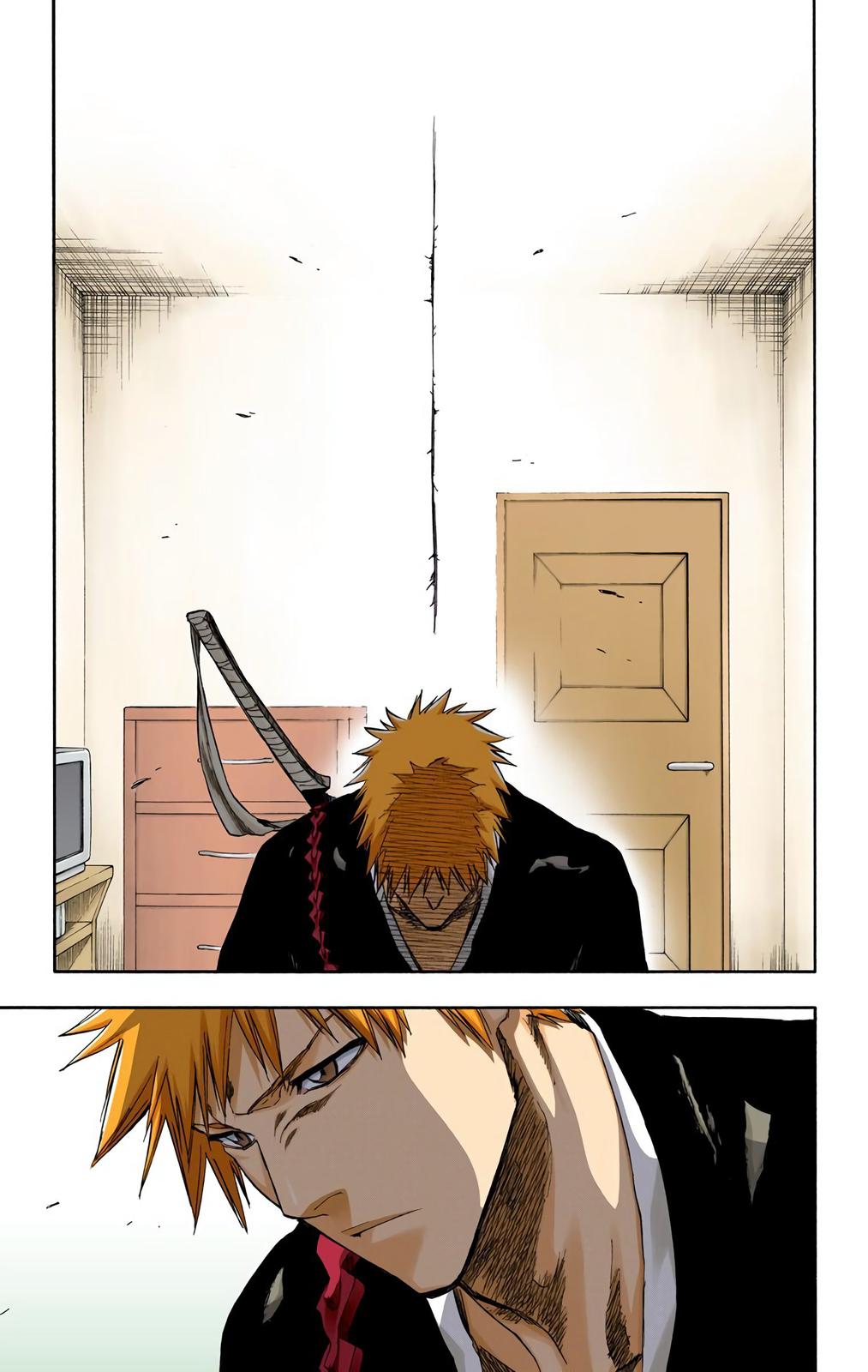 Bleach (Color) Chapter 238 - Page 18