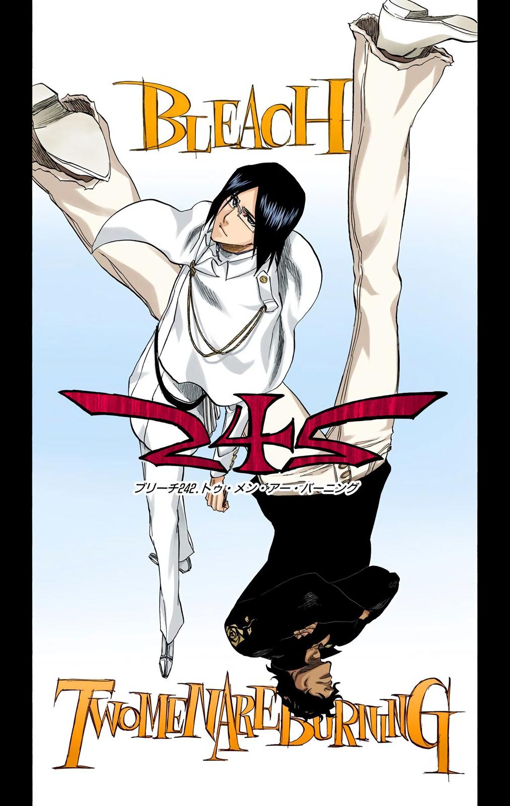 Bleach (Color) Chapter 242 - Page 6