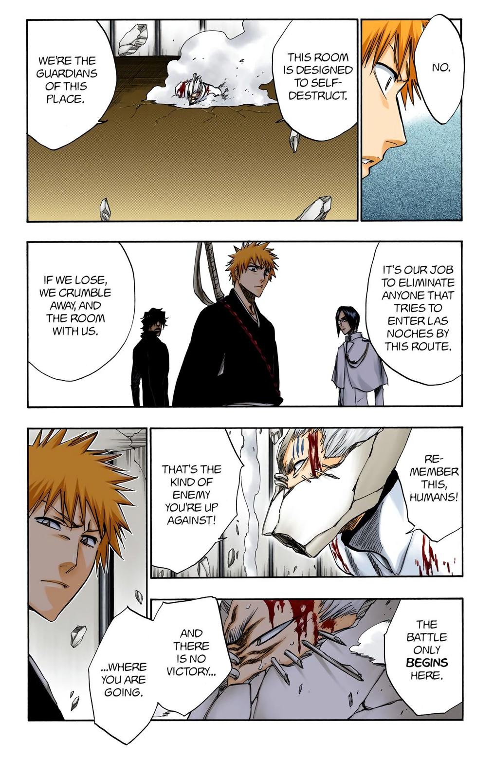 Bleach (Color) Chapter 244 - Page 4